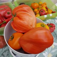 Cuore Antico di Acqui Terme